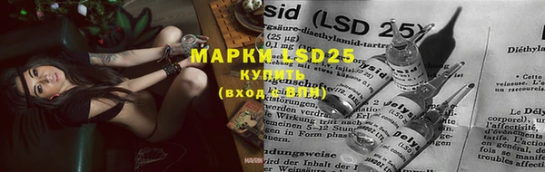 прущая мука Вяземский