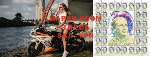 прущая мука Вяземский