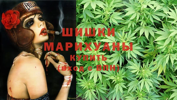 прущая мука Вяземский