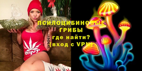прущий лед Вязники