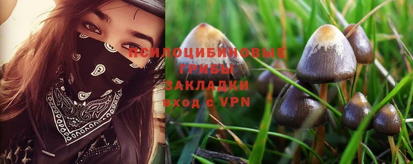 прущий лед Вязники