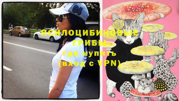 прущий лед Вязники