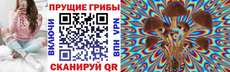 Псилоцибиновые грибы Magic Shrooms Москва